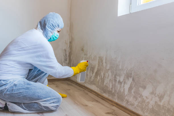 Licensed Bathroom Mold Removal service in Manchester, GA - WQB Mold Removal